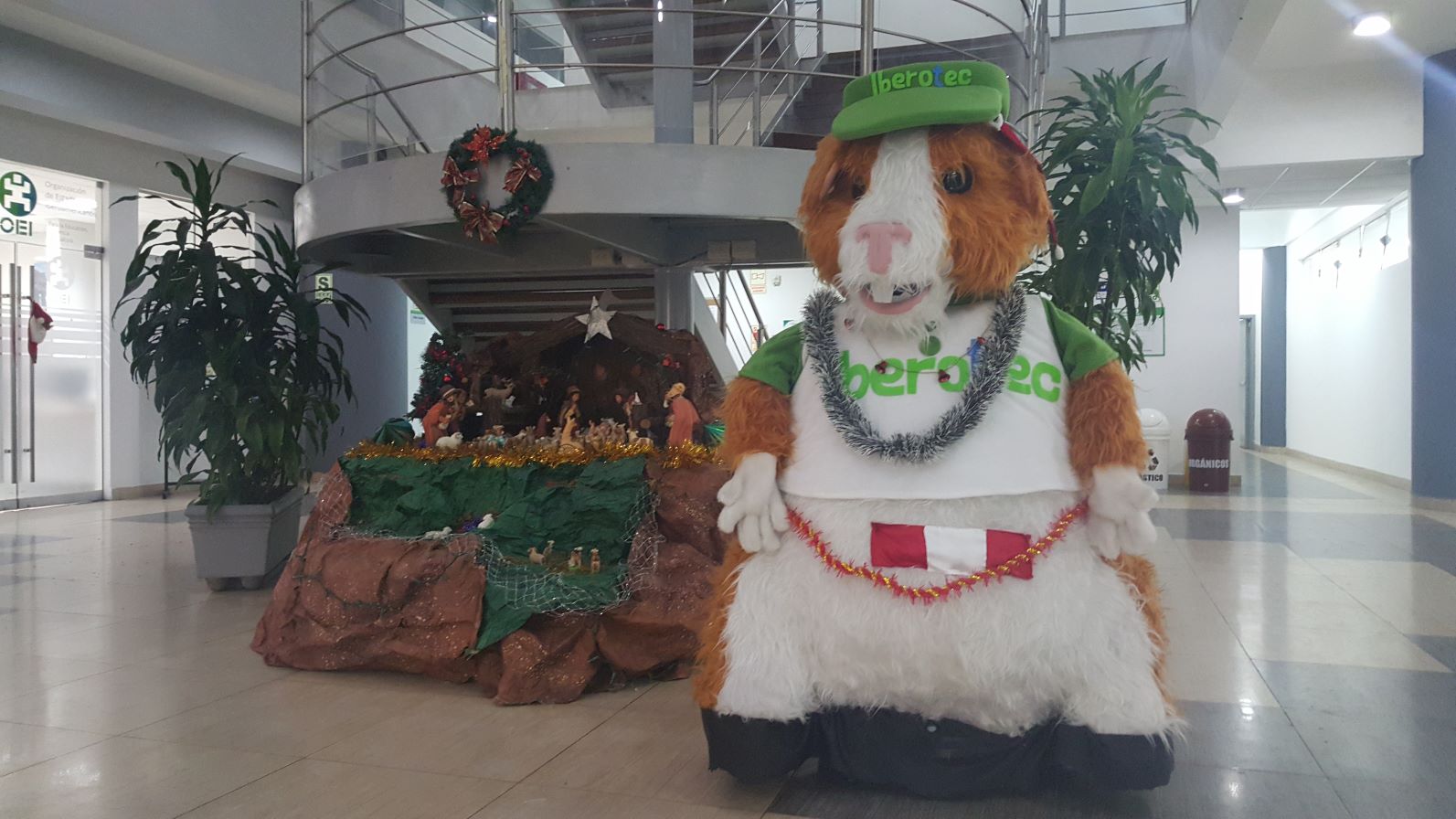 El primer robot humanoide peruano con IA, robot cuy ASIMOV